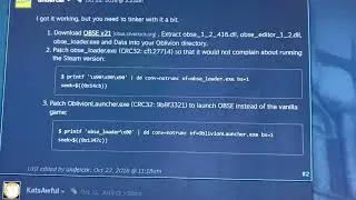 elder scrolls iv: oblivion controller support on steamdeck through wine/proton