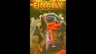 I Caught a Huge Catfish - But There's a Twist!