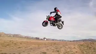 Maxxis Tires M6024: Testing the Limits of the Modern Day Scooter