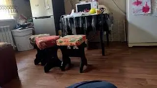😋Папа работает 🥰