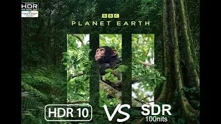 Planet Earth III 2024 UHD BD HDR10 1000nits vs 1080p BD SDR 100nits