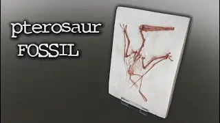 Pterosaur Fossil accuracy - 3D scan Revopoint POP 2