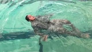 German Armed Forces Proficiency Badge Swim Test