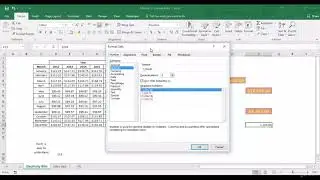 007  Formats in Excel