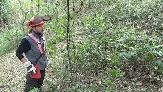 continuo il recupero della zona nord-est della cascina invasa dai rovi...