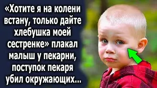 Малыш у пекарни шокировал мужчину своими словами, но поступок пекаря удивил окружающих…