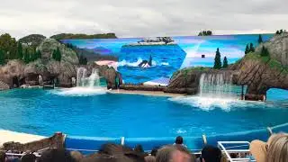 El nuevo Show de shamu