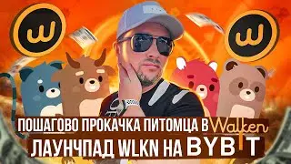 Пошаговая инструкция по прокачке питомца в Walken | Лаунчпад на бирже Bybit токены WLKN | 40plus