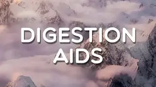 Digestion aids, Level 835, Word Crush Answers, FullHD 60 fps.