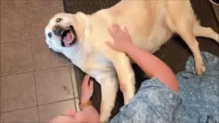 Что? Писать?? Ну нееет.... Это без меня!