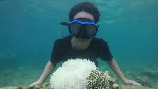 Trip Pahawang Bagian Hukum Sekretariat Daerah Kota Palembang