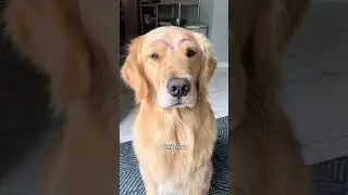 Wait for the last one 🤣 