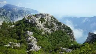 Фильм 