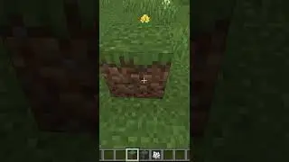HOW TO BREAK BEDROCK WITH GRASS IN MINECRAFT #minecraft #shorts #gaming