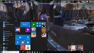 Stupid team smart koshka