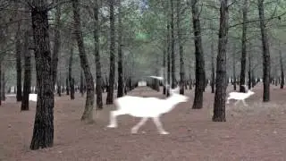 DeerSFX