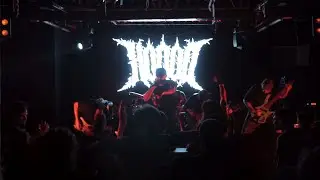 Холод - Белый ворон (Live 2022)