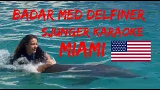 Badar med delfiner, överraskar min bästakopmis, Miami Vlogg 3