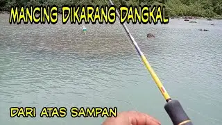 Mancingnya dari atas sampan pakai umpan udang kupas