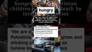 Would a Loving Force Create the Suffering in Gaza?