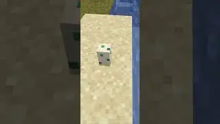 бедные черепашьи яйца