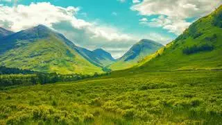 BEAUTIFUL NATURE ANIMATED BACKGROUND FOR GREEN SCREEN HD 1080P MOTION ANIMATED BACKGROUND