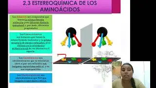 AMINOACIDOS (CARACTERISTICAS). EL CASO DE LA FENILCETONURIA