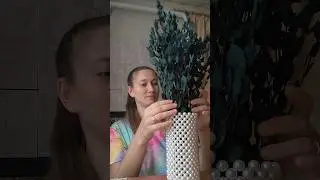Купила стабилизированный эвкалипт 🐨