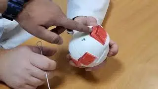 Organ of vision. Accessory apparatus. The visual analyser