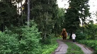 Парк Краснознаменск