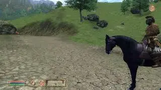 Oblivion NPCs Shouldn't Have Conversations on Horseback