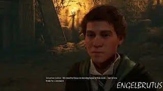 Hogwarts Legacy: In The Shadow Of Time