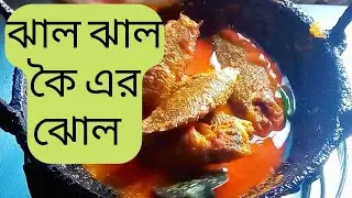 ঝাল ঝাল চাষের কৈ এর ঝোলে দেশী কৈ এর স্বাদ।। Koi Fish Spicy Curry