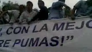 PUMAS CAMPEON 2009 FESTEJOS CU