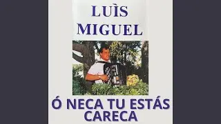 Consulta Aos Astros