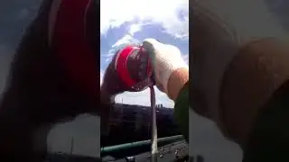 Присоска для альпинистов