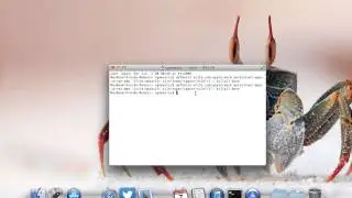 How to create Dock spacers in OS X