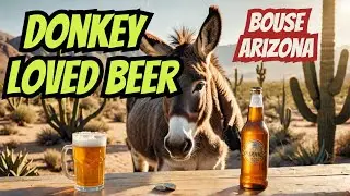 8-Ball: The Beer-Drinking Donkey of Parker, Arizona