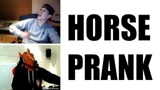 Masturbating Horse On Omegle (Omegle Prank)