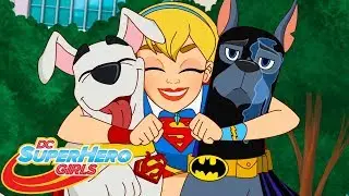 Zu den Hunden gegangen, Teil 1 | 407 | DC Super Hero Girls auf Deutsch