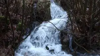 Volle Bäche nach Dauerregen 6.1.19