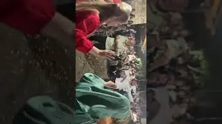 Марьям Казиева! «Жан дада» (Авторская )🌹👍