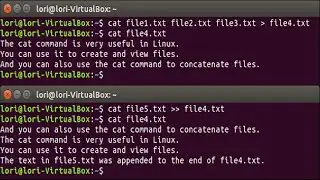 How to Combine Text Files Using the “cat” Command in Linux