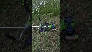 Фореста 43 та ромашки