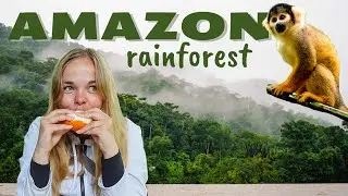 4 days in the Amazon rainforest 🐒🌿 Manu National park in Peru
