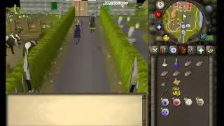 Runescape clue scroll - Speak to Donovan, the family handyman