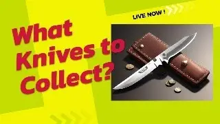 What Knives To Collect?  Let's look at a few LIVE!