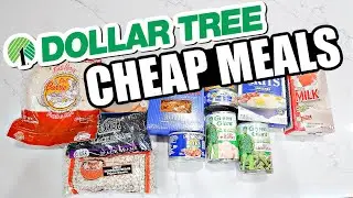 DOLLAR TREE GROCERY SHOP & HAUL  | Dollar Tree Budget Meal Plan | Extreme Grocery Haul