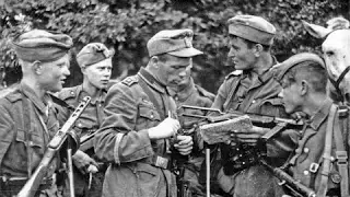 Русская освободительная народная армия. «РОНА»  (Русская дивизия SS)