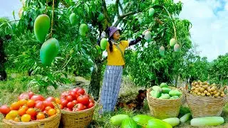 Harvest Fruits: Green Mango, Winter Melon, Longan, Tomato To Sell At The Market, Cook, Garden, Farm.